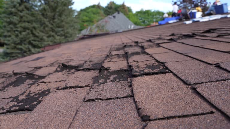 Best Flat Roofing  in Anacortes, WA